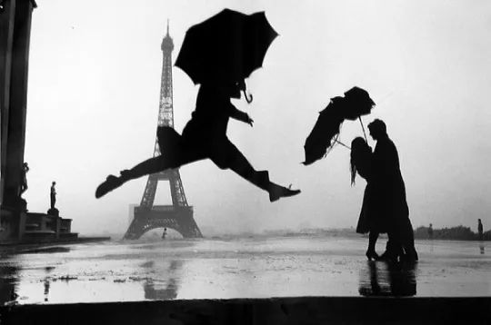 1525999009951ce1ad7a90a