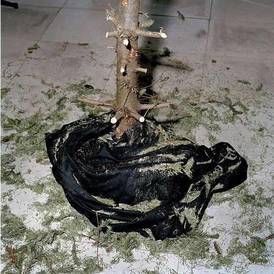 1525999011585e6e049a03e