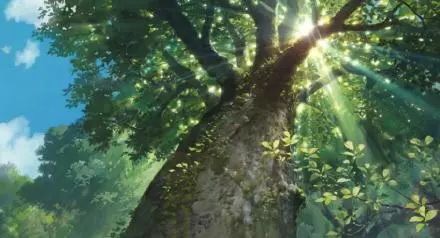 15234593753365d9c613d9b