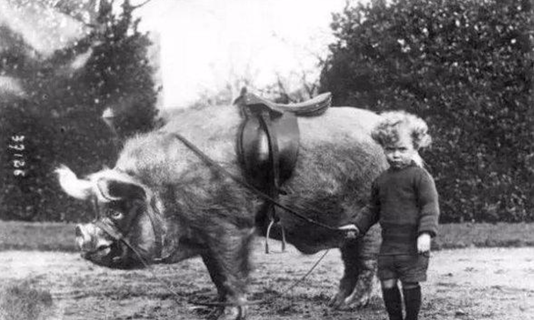 1521722429282959ab6fc65