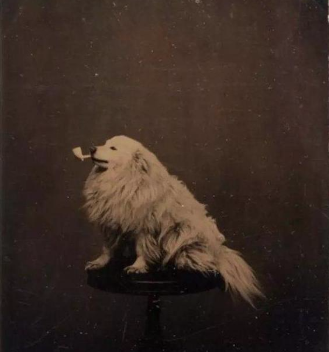 15217226775641f1a275769