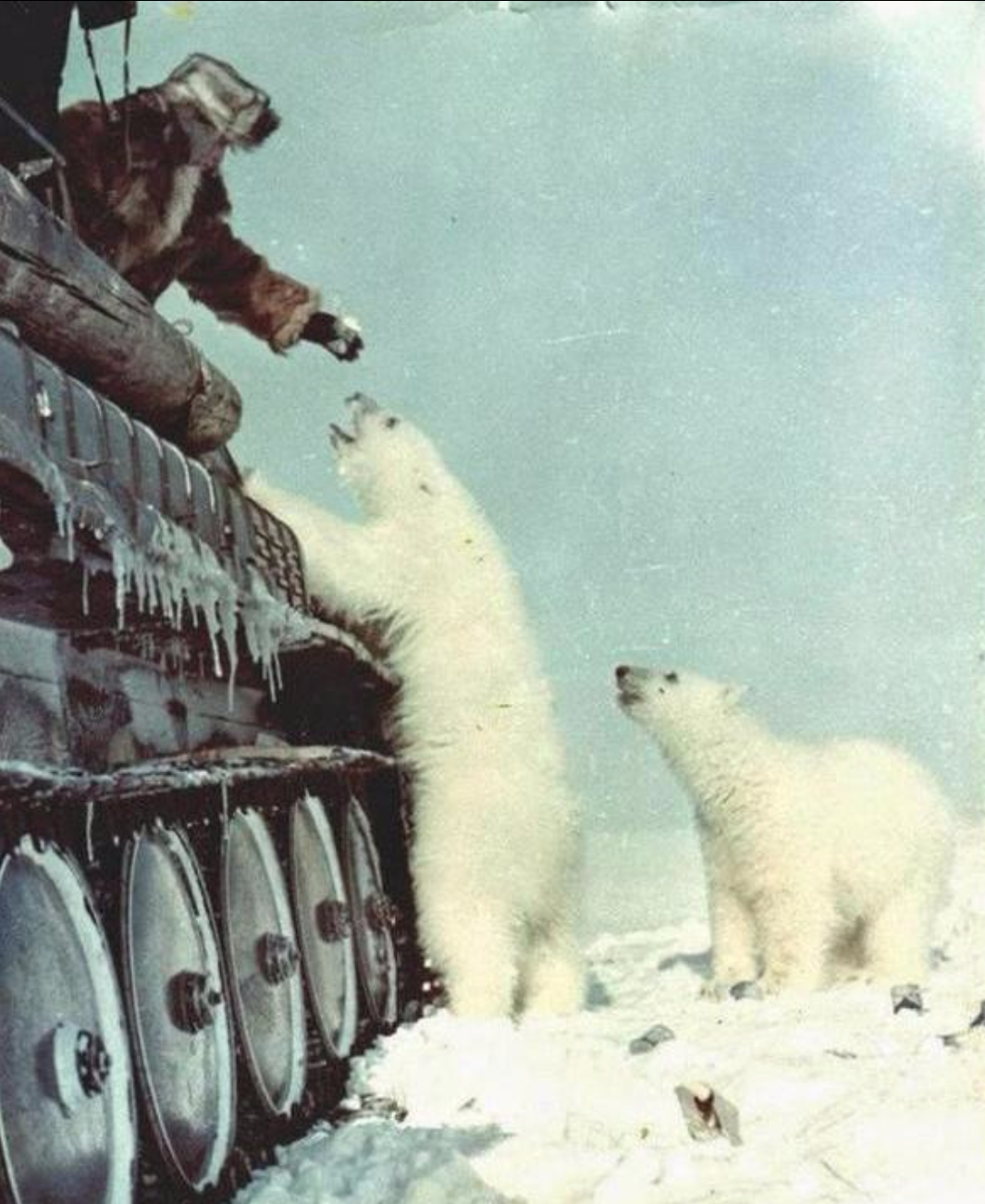 1521722709121802c1aba84