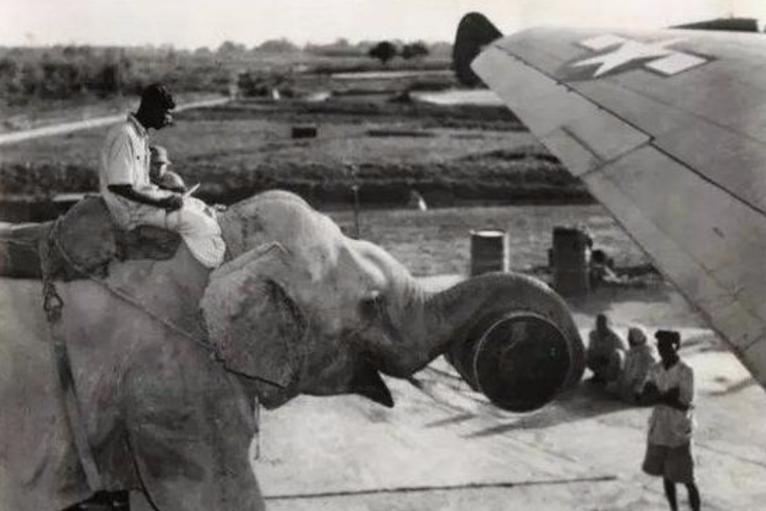 15217229478631005881af5