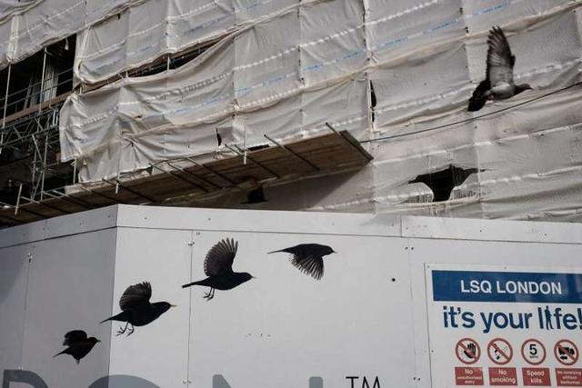 6c3e000546d422c42176