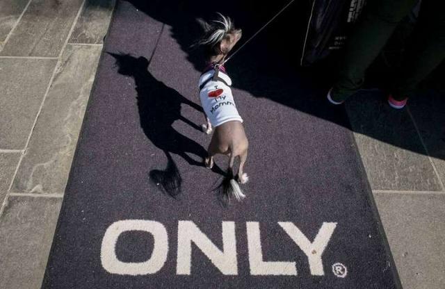 6ed2000314aad56fce47