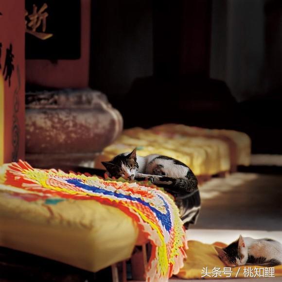 66c600029933de5ff9be