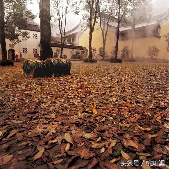 66c50002b13660f05cc7