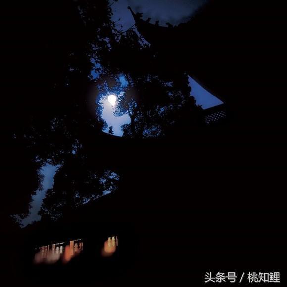 66c90000679f45d28321