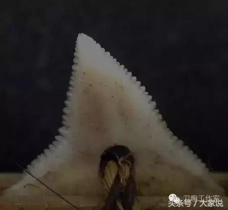 66c900028720ee733baf