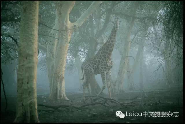 321700034ba210f0a9ff