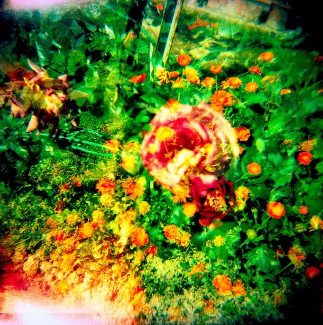 311000063b05225b7869