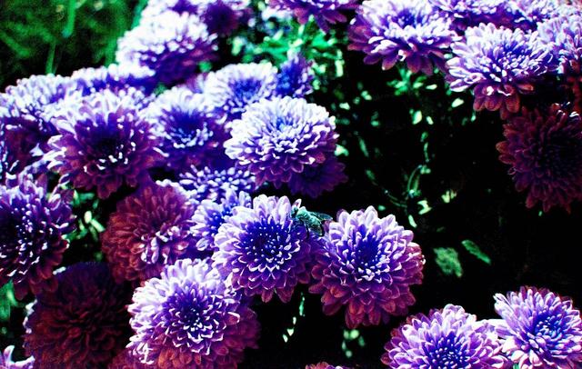 310e000f692ed1b72582