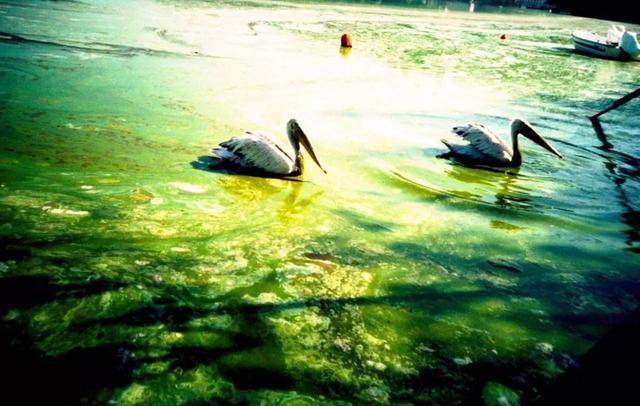 310e000f69374127a047