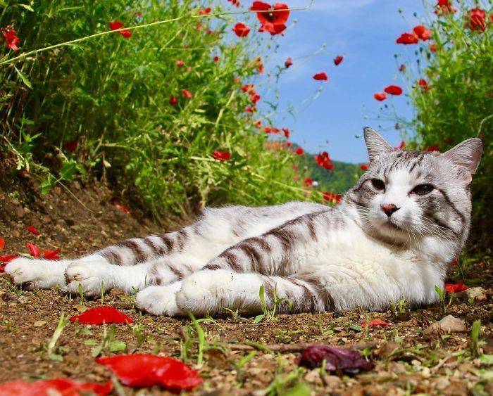 15238019192723a8bb9830b