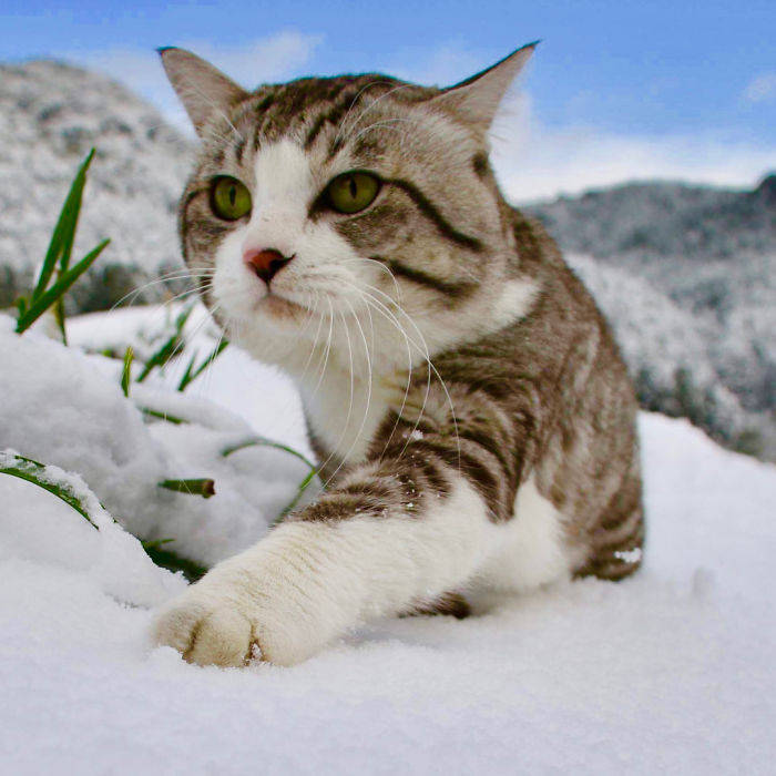 1523801920255cd5eb18bab