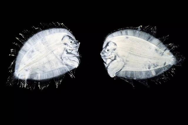 11bb0004227943f855ec