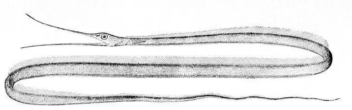 124d0006284986f87723