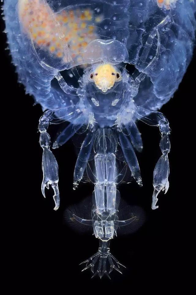 124600064ee05f8aaaed