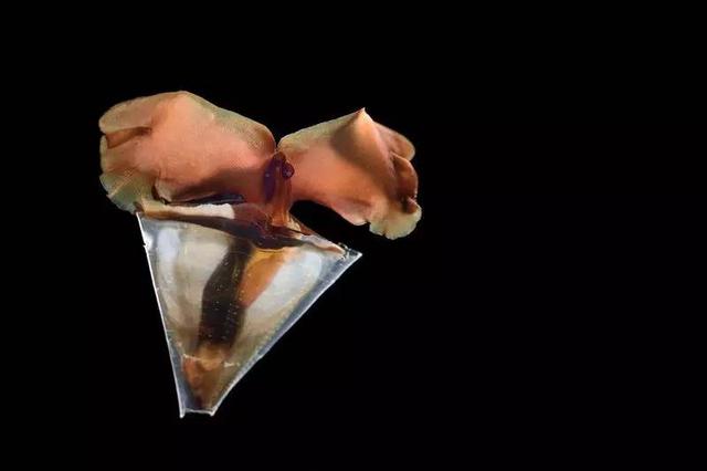 11bb000422894d6aeaf6