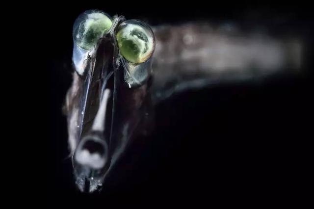 124900061614e524f077