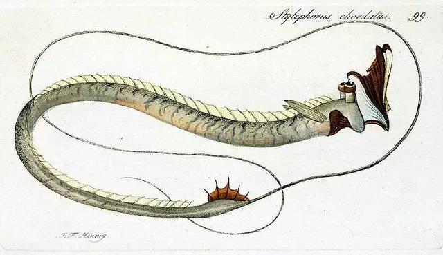 12490006161542fb036d