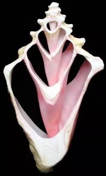 2ded0005b2c818c6ae19