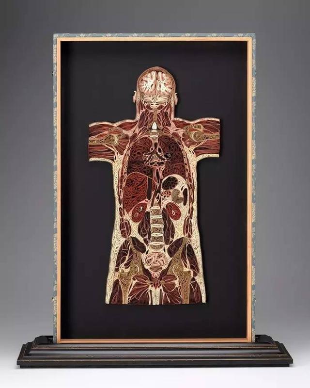 2ded0005b2cecf69aae3