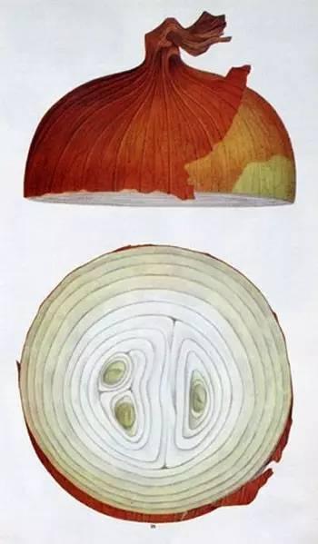 2a9b0001163c7cbbb435