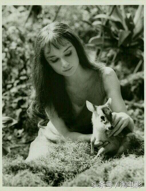 2c310001d537682090e5