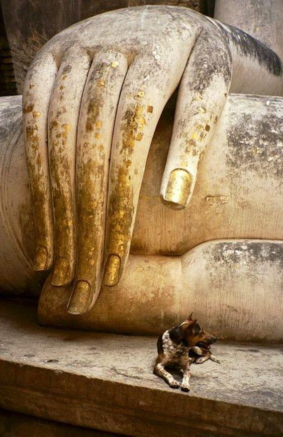 24340003cbf5f4f41bba