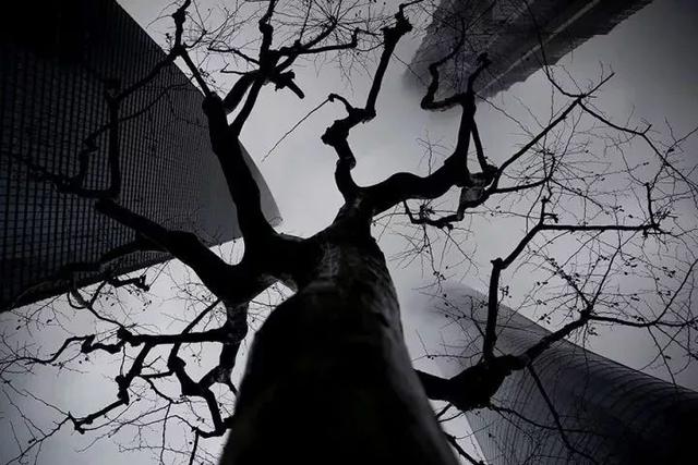 53f00000ca68e2650007