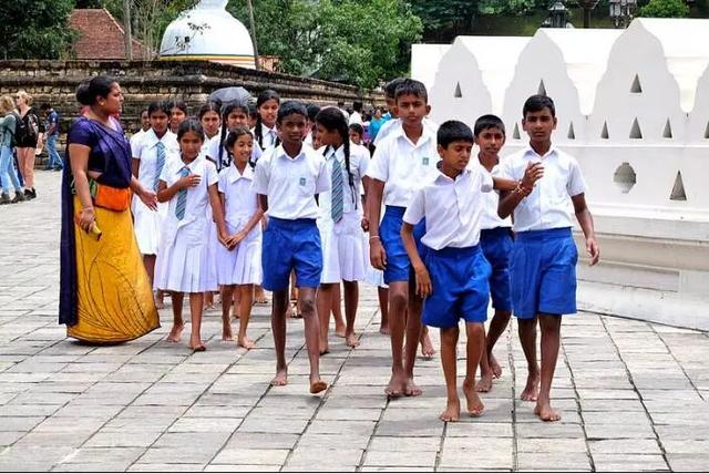 53ee0003c1a161301564