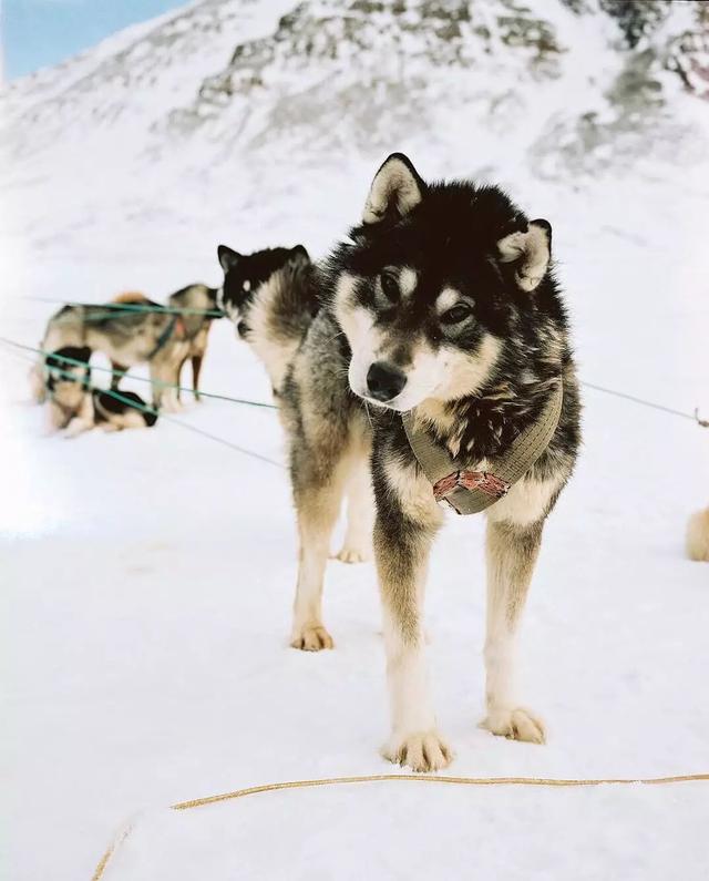 53ee00048d4163e52b2b