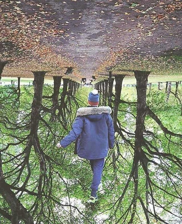 5e8a00020545308546eb