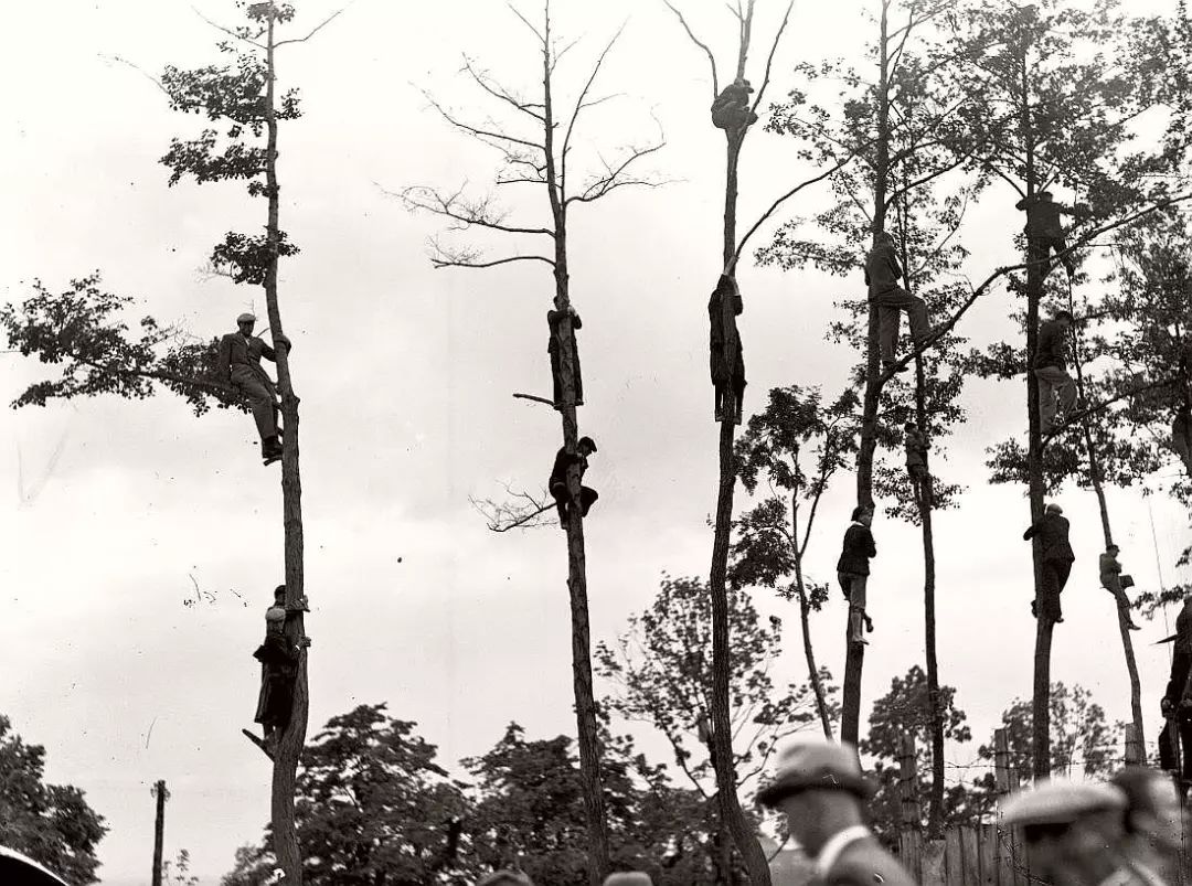 152474689024159e011ab51