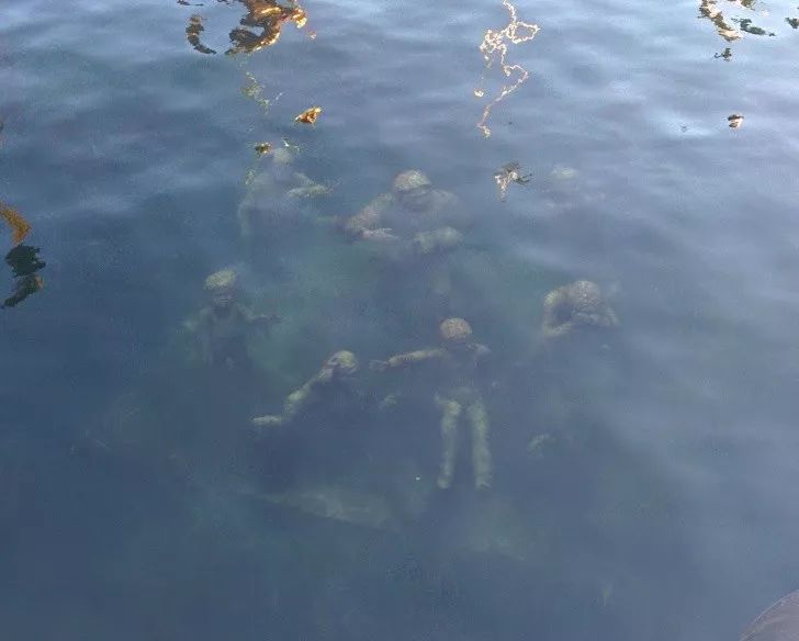 1525531754877acd1d264c1