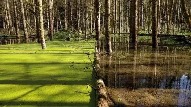 3c5c00043311214ae393