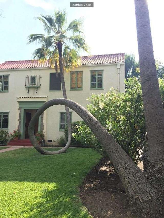 31fe00035f789cbf8cac