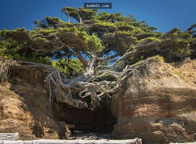 320400045986d4db6a66