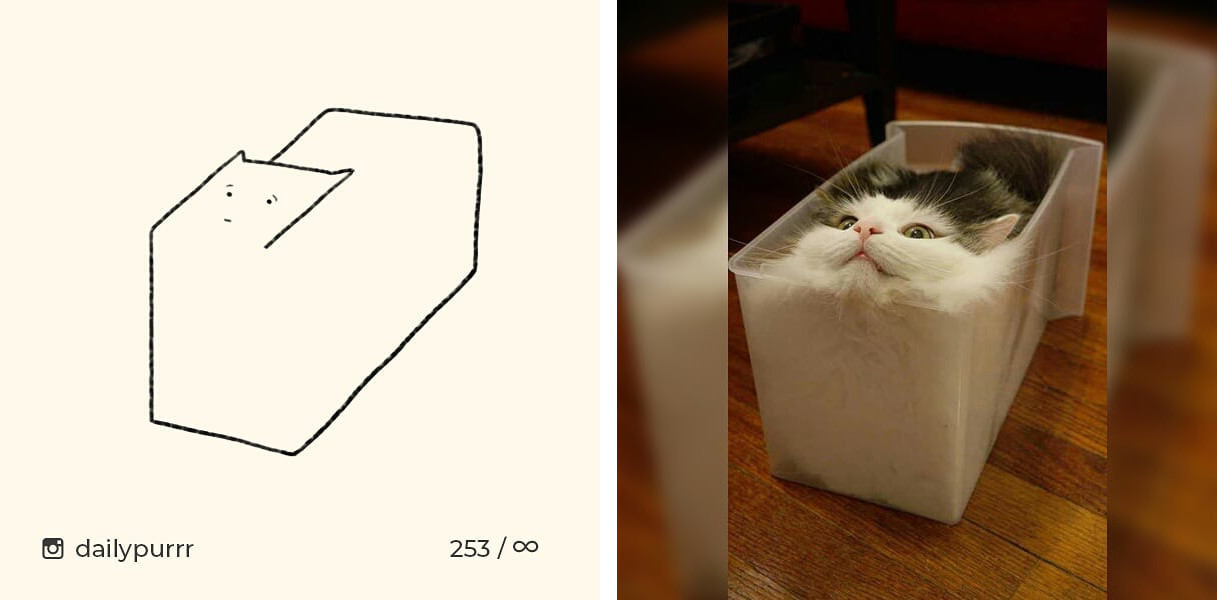 152602994804364640cba88