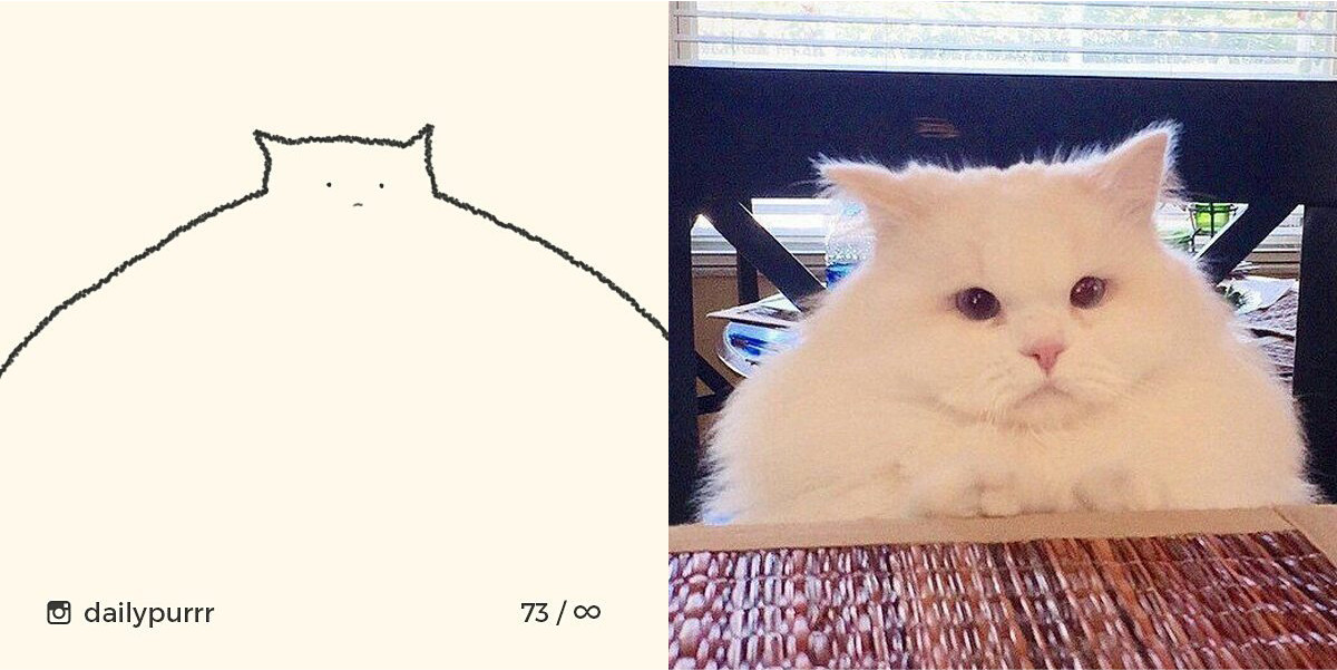 15260299482513aaadb8437