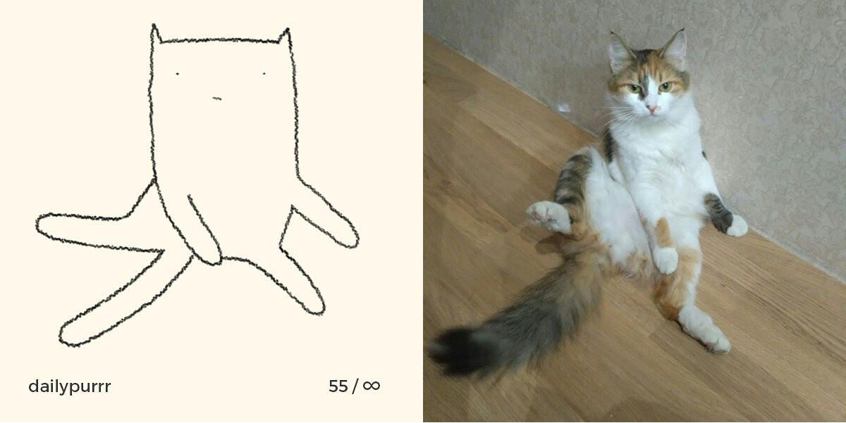 1526029948497c37ac8d3cc