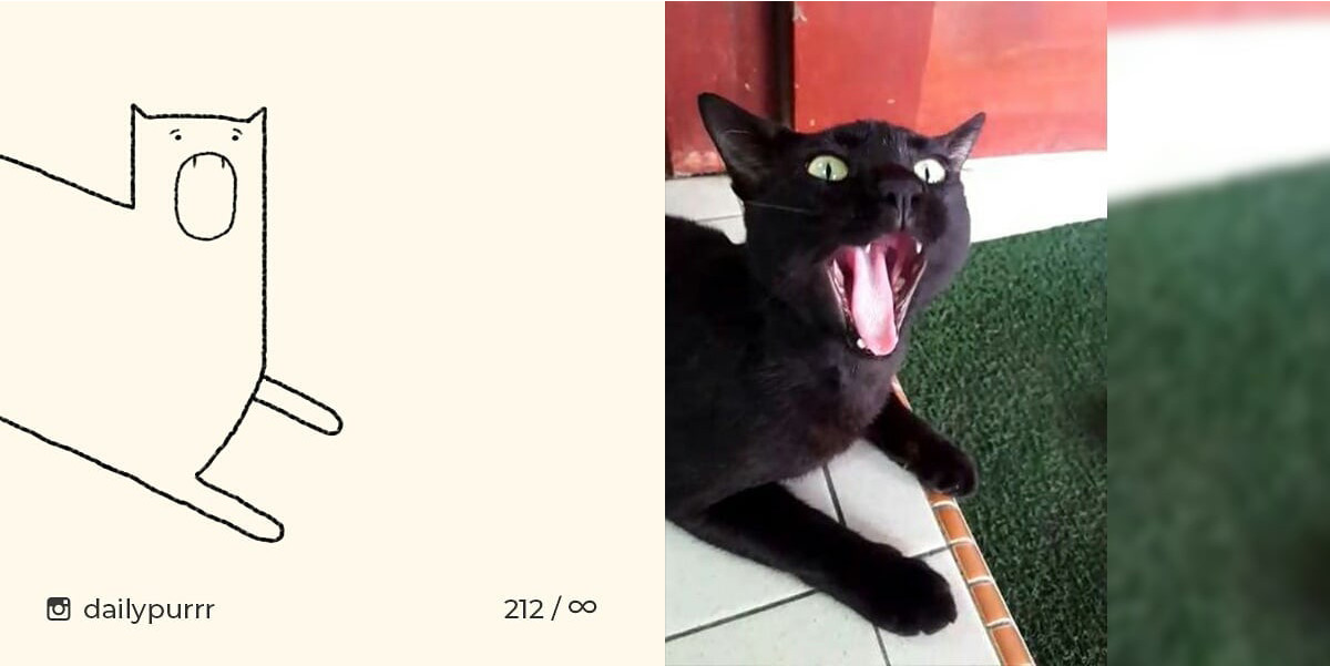 15260299489893139defba8