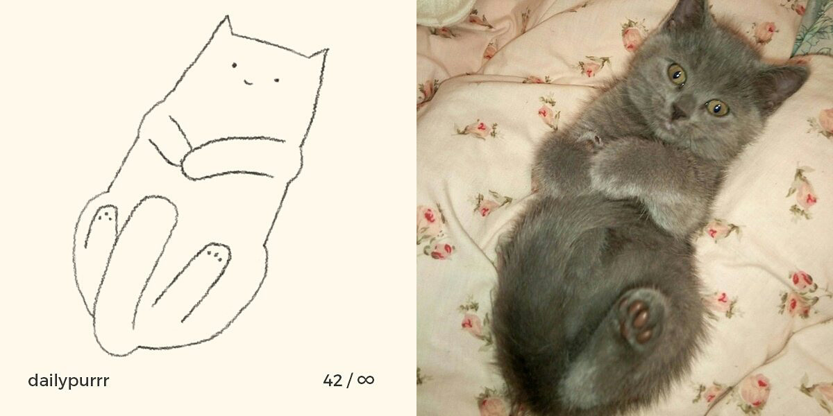 1526029948733d208291ea5