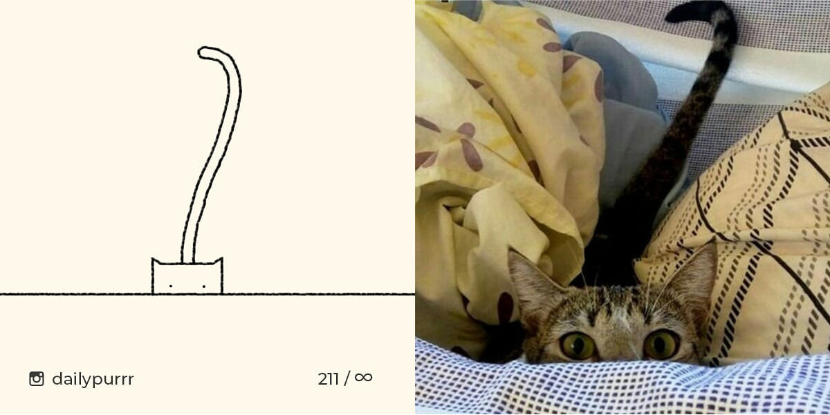 152602994886229f2e1bcca