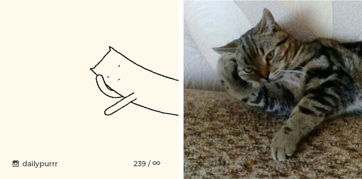 1526029948998b2e4136071