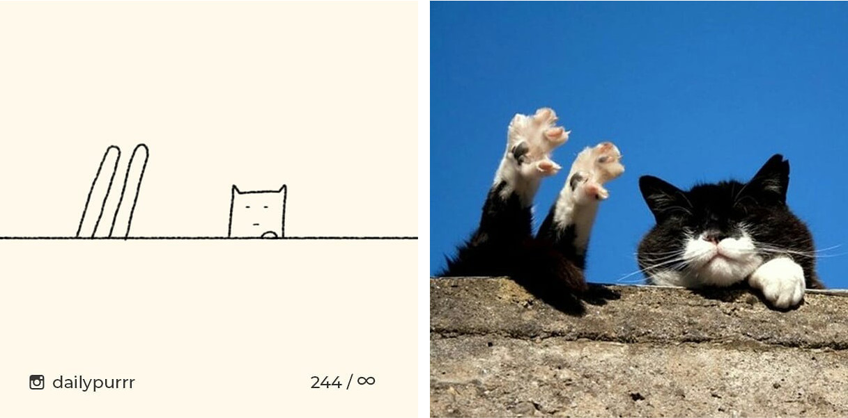 15260299492008841b17c94