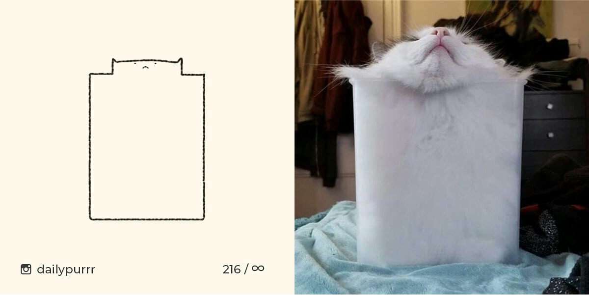 1526029949360129b3ba403