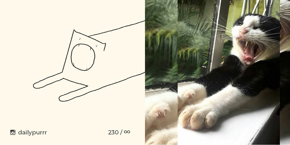 1526029949516ddd0dc873c