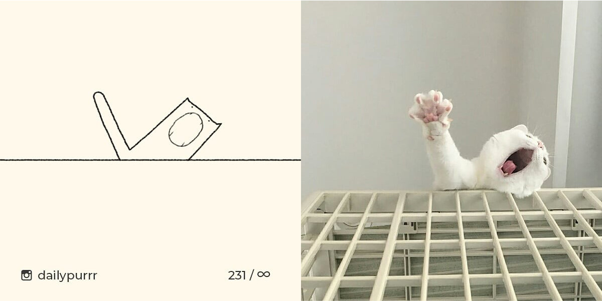 152602994966522c5c672c5